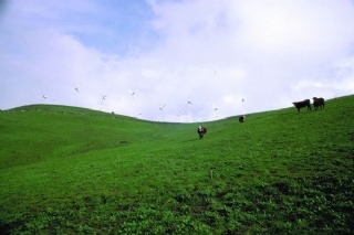 黃山工業(yè)污染處理